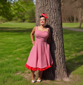 Flirty & Fun Red & White Gingham Dress Full Circle Skirt XS-3XL