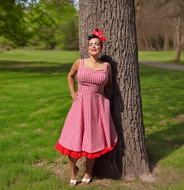 Flirty & Fun Red Gingham Dress Full Circle Skirt XS-3XL